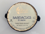 barnacles.jpg